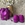 Bailarina candelitas tachas magenta - Imagen 2