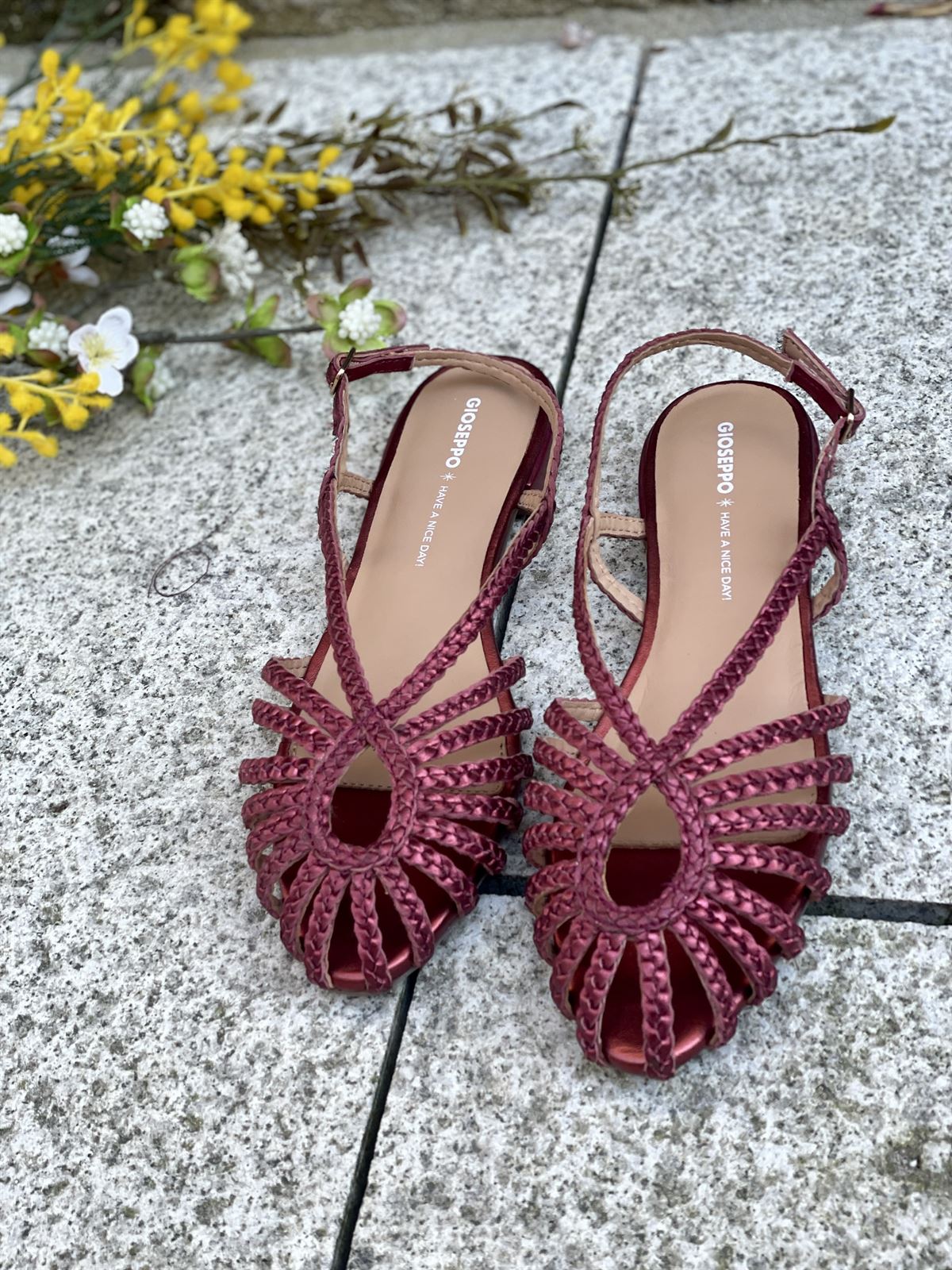 BAILARINAS Cangrejeras GIOSEPPO 75440 BURDEOS - Imagen 2