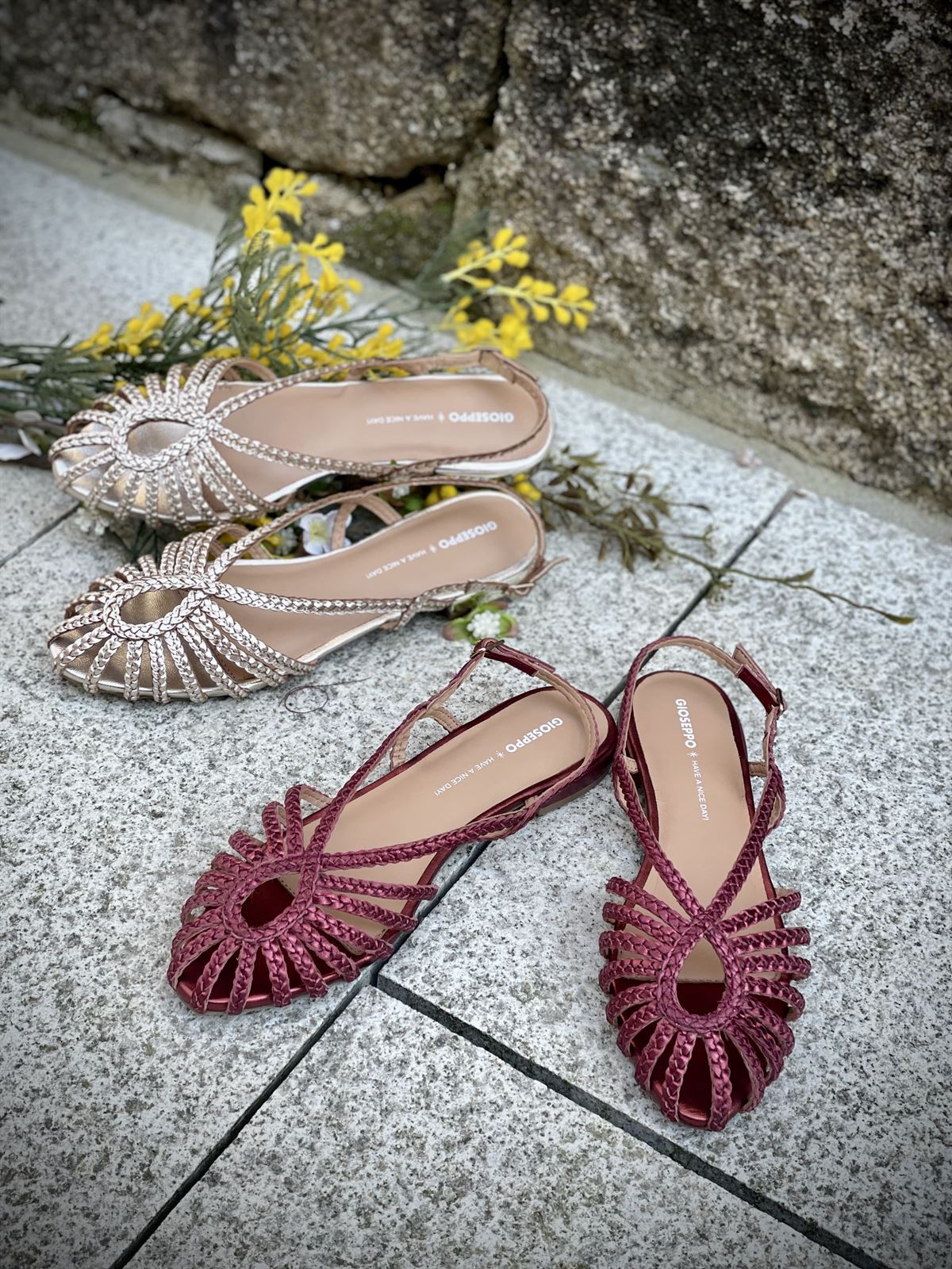 BAILARINAS Cangrejeras HINGHAM GIOSEPPO 75440 BURDEOS - Imagen 3