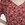 Blusa Nice Things Hawaian Fish naranjas y rojos. - Imagen 2
