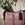 Bolso bandolera devota & Lomba rosa - Imagen 1