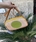 Bolso bandolera Don algodon rafia colores - Imagen 1