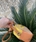 Bolso bandolera Don algodon rafia colores - Imagen 2