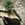 Bolso Ferchi negro - Imagen 1