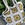 bolso Yerse crochet estampado - Imagen 1