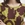 Camiseta Nice Things espuma Lucky Charms - Imagen 1