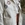 Chaqueta Nice Things bordados pacific cruda - Imagen 1