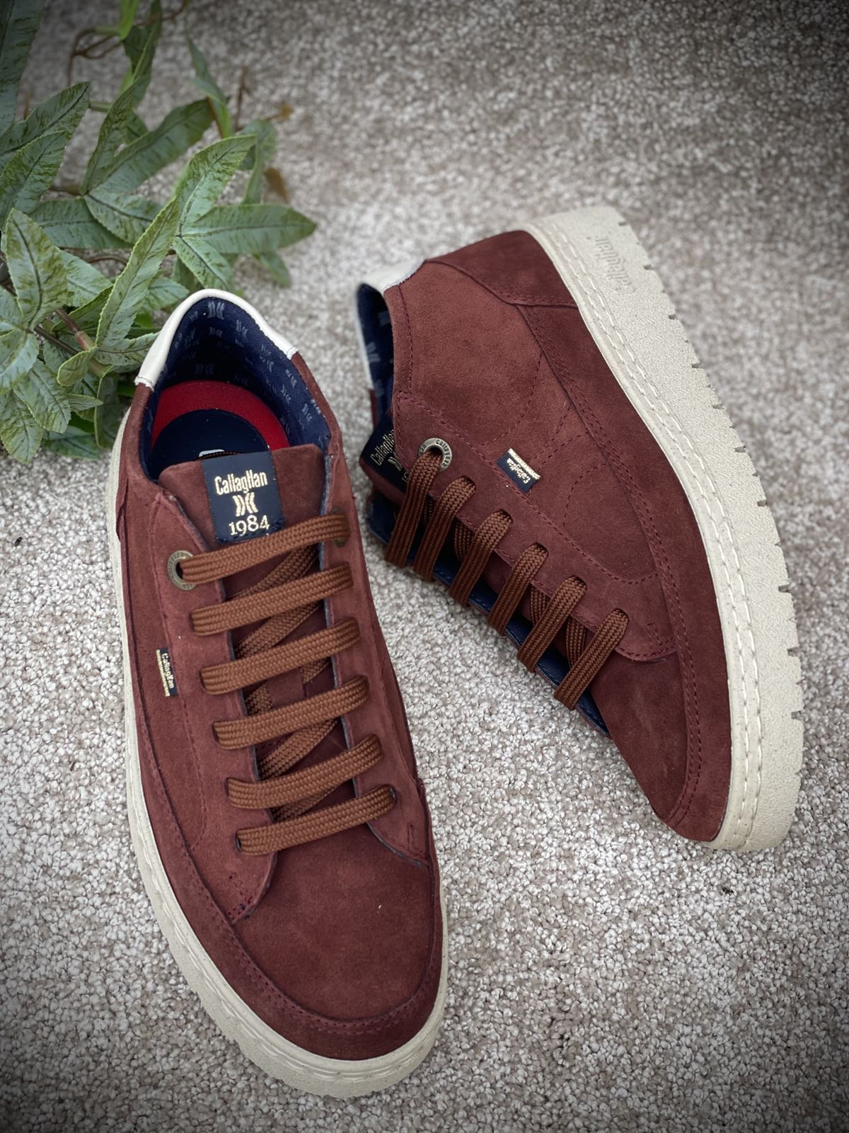 Deportiva Callaghan 55816 | SUN Petete marrón - Imagen 1