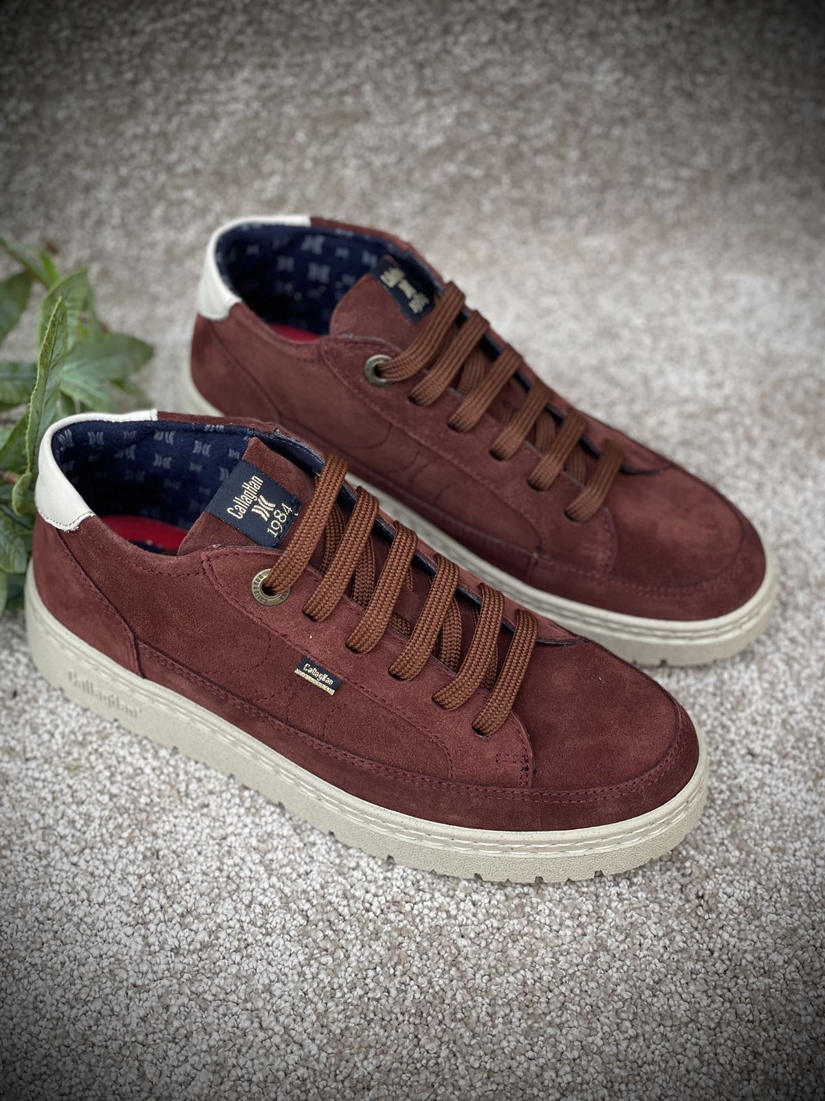 Deportiva Callaghan 55816 | SUN Petete marrón - Imagen 3