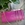 Mini bolso CARAMELO cruzar Fucsia. - Imagen 2