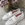 Mocasín Callaghan pompones blanco. - Imagen 1
