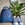 mochila don algodon azul marino - Imagen 2