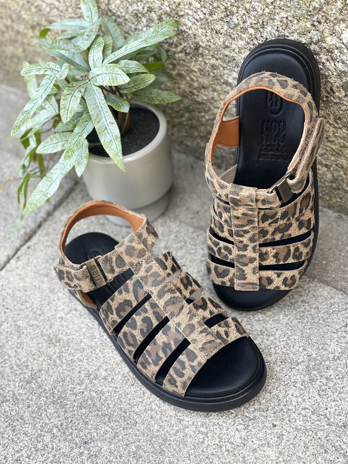 Sandalia 25373 HEE Bio leopardo print - Imagen 1