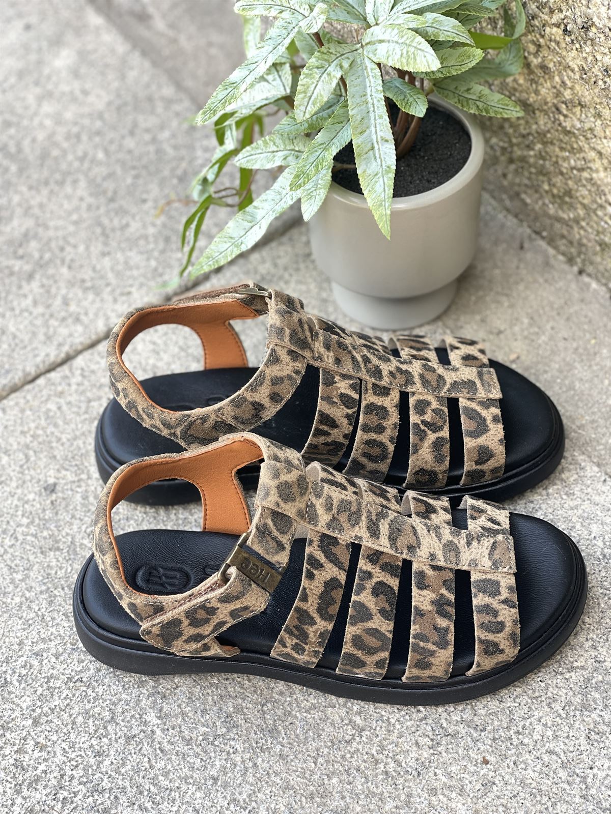 Sandalia 25373 HEE Bio leopardo print - Imagen 2