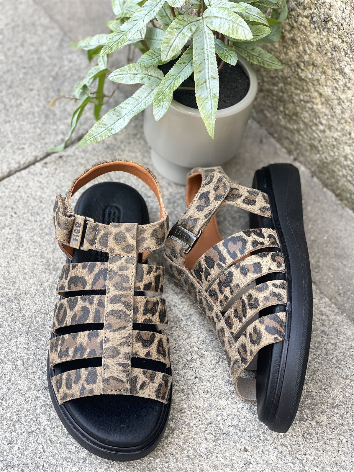 Sandalia 25373 HEE Bio leopardo print - Imagen 3
