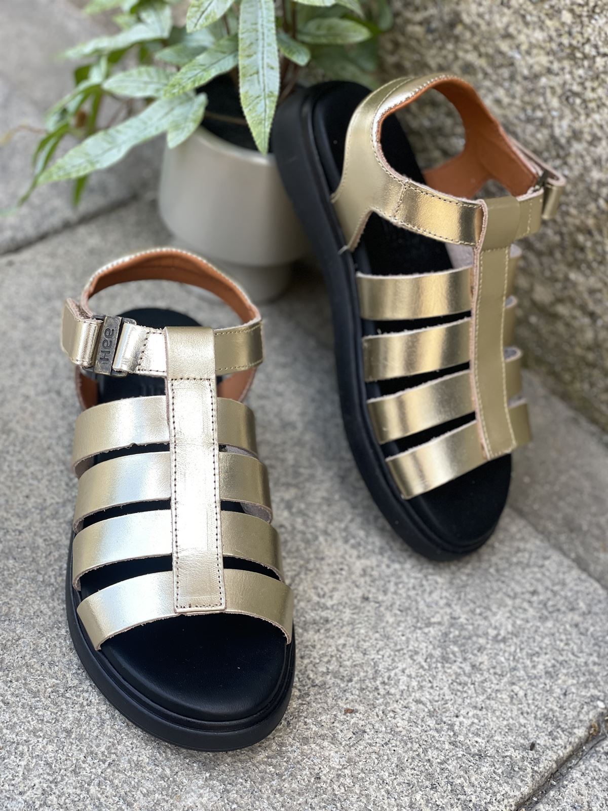 sandalia 25373 HEE Bio metal champagne - Imagen 3