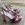 Sandalia Angari Zapatos terciopelo rosa - Imagen 2