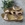 Sandalia HEE SHOES Marsella BIO metalizada dorada. - Imagen 1