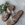 Sandalia HEEE SHOES descalza piel print leopardo - Imagen 1