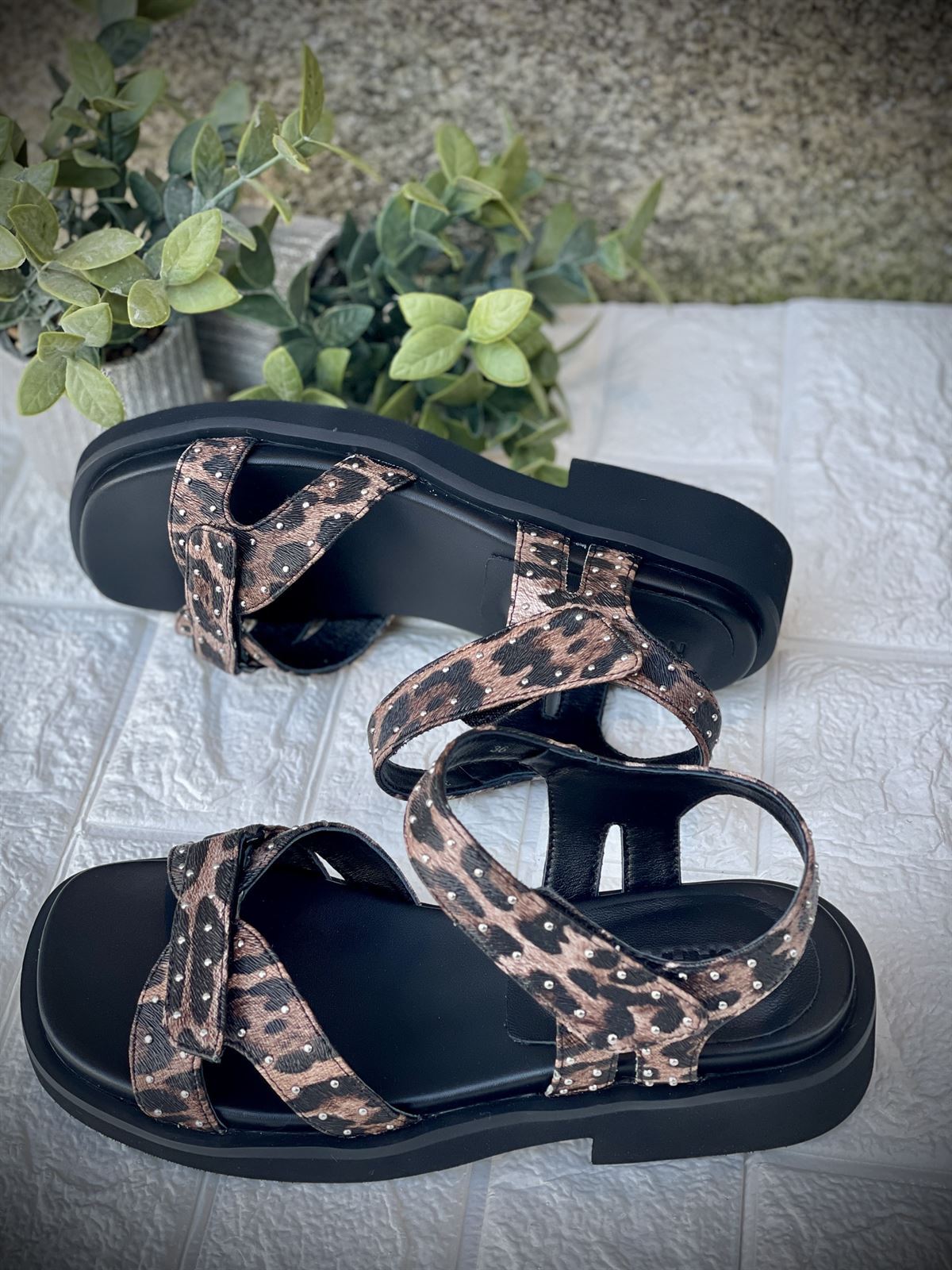 Sandalia Noa Harmon HOT  cierre velcro print - Imagen 2