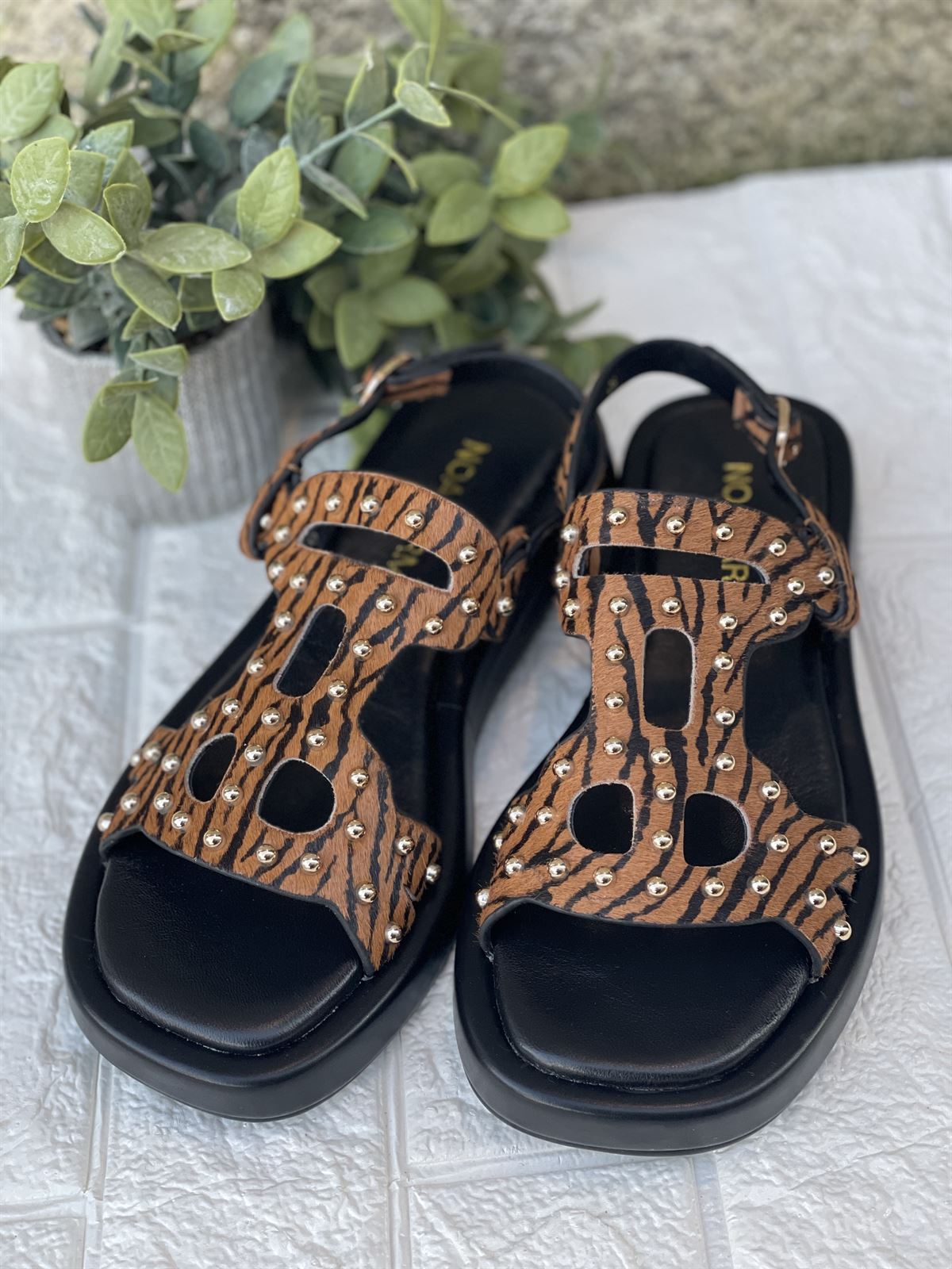 Sandalia Noa Harmon WASABI tachas Cebra camel - Imagen 1