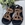 Sandalia Noa Harmon WASABI tachas Cebra camel - Imagen 1
