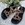 Sandalia Noa Harmon WASABI tachas Cebra camel - Imagen 2