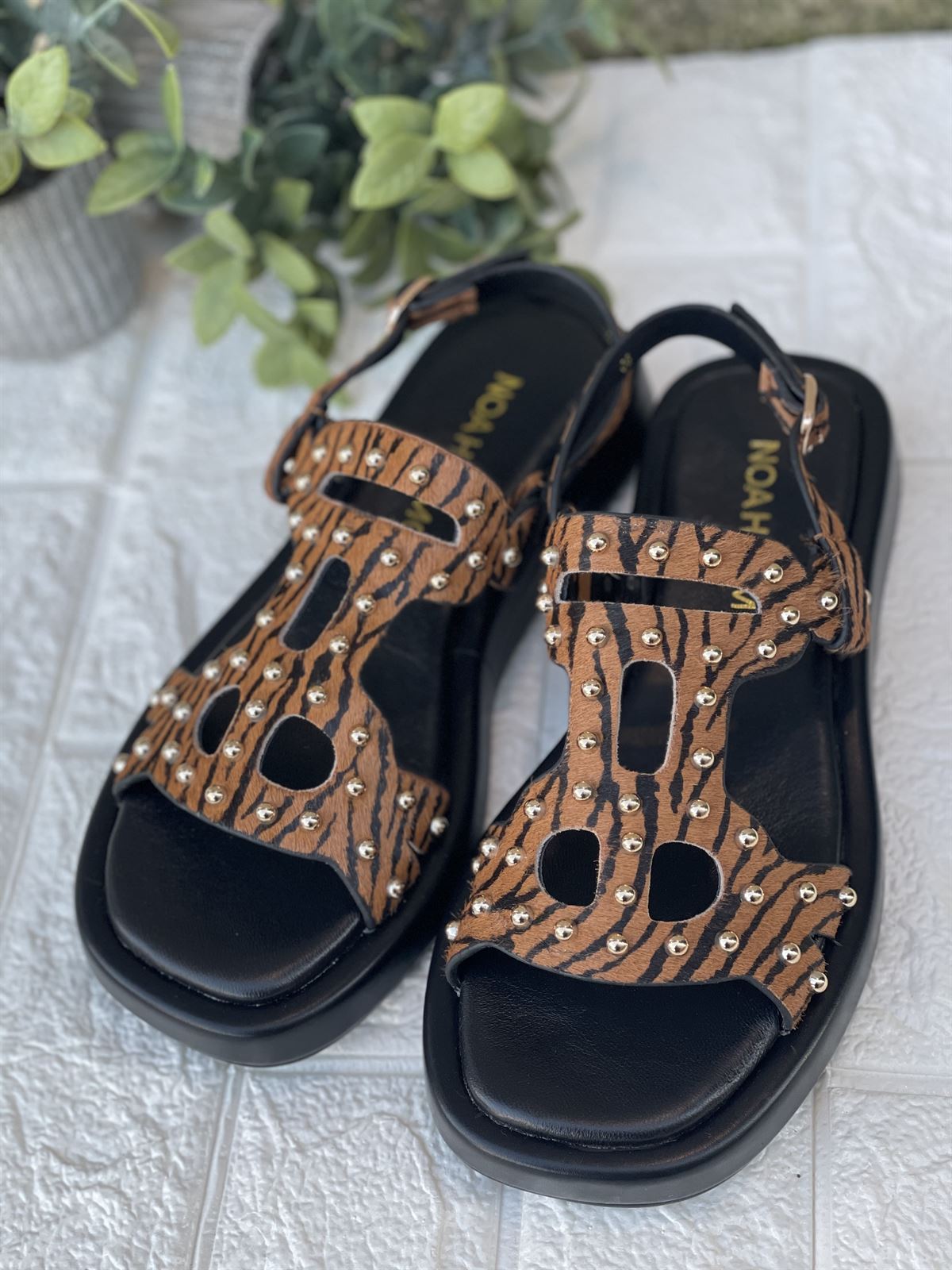 Sandalia Noa Harmon WASABI tachas Cebra camel - Imagen 4