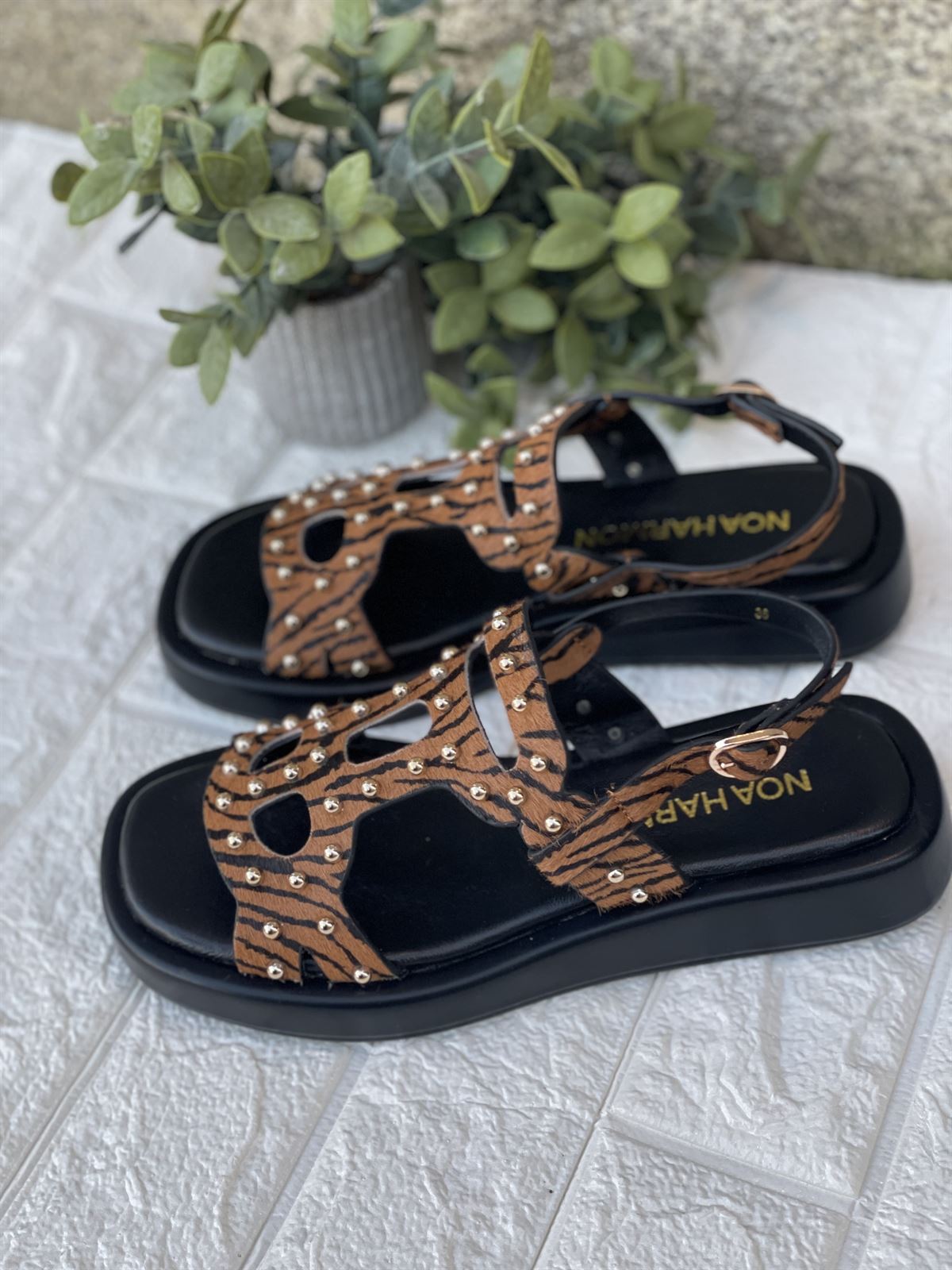 Sandalia Noa Harmon WASABI tachas Cebra camel - Imagen 5