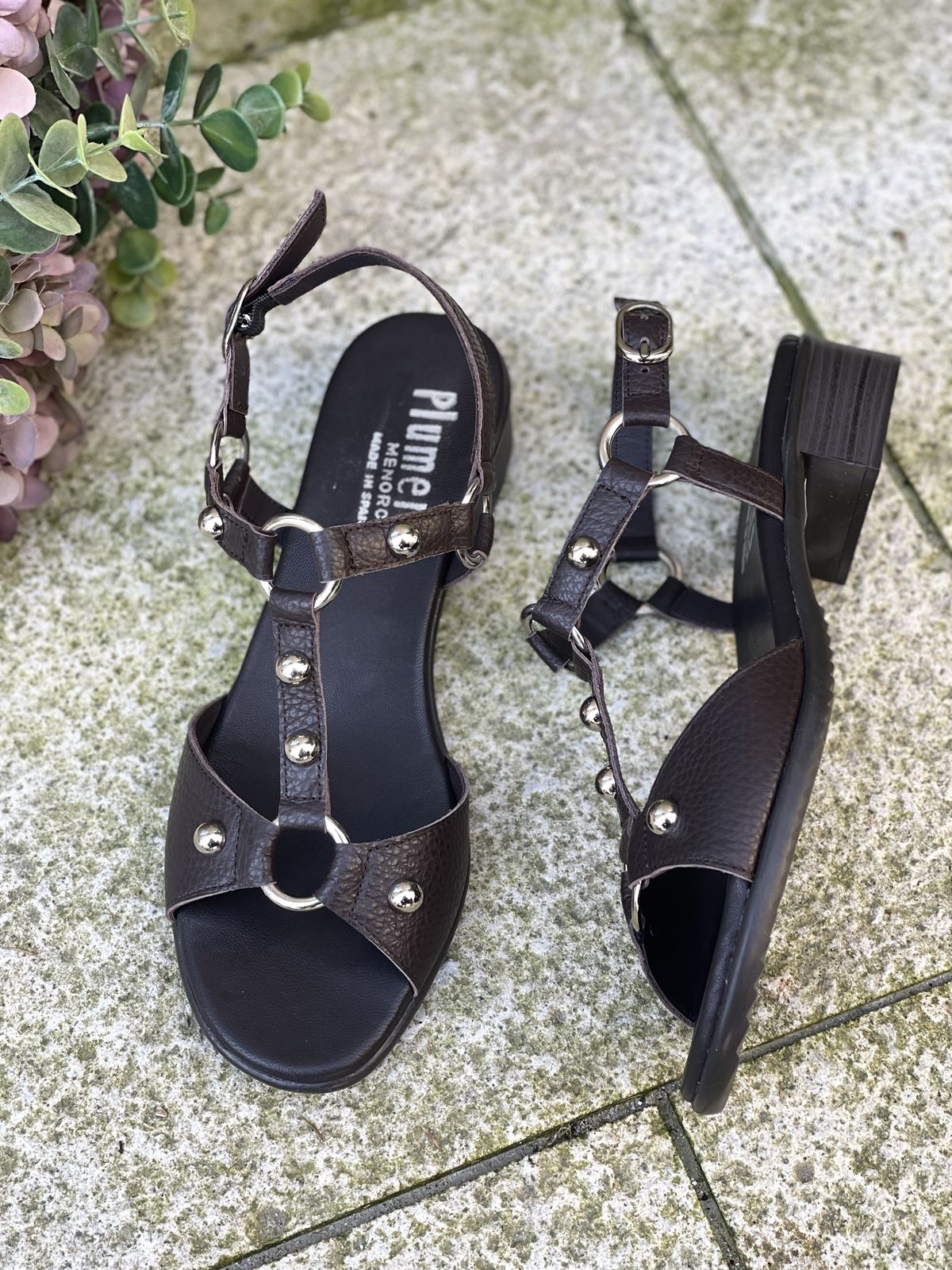 Sandalia Plumers Menorca 3035 plana tachas chocolate - Imagen 4