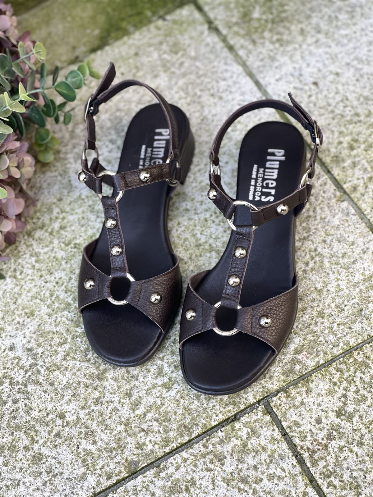 Sandalia Plumers Menorca 3035 plana tachas chocolate - Imagen 5