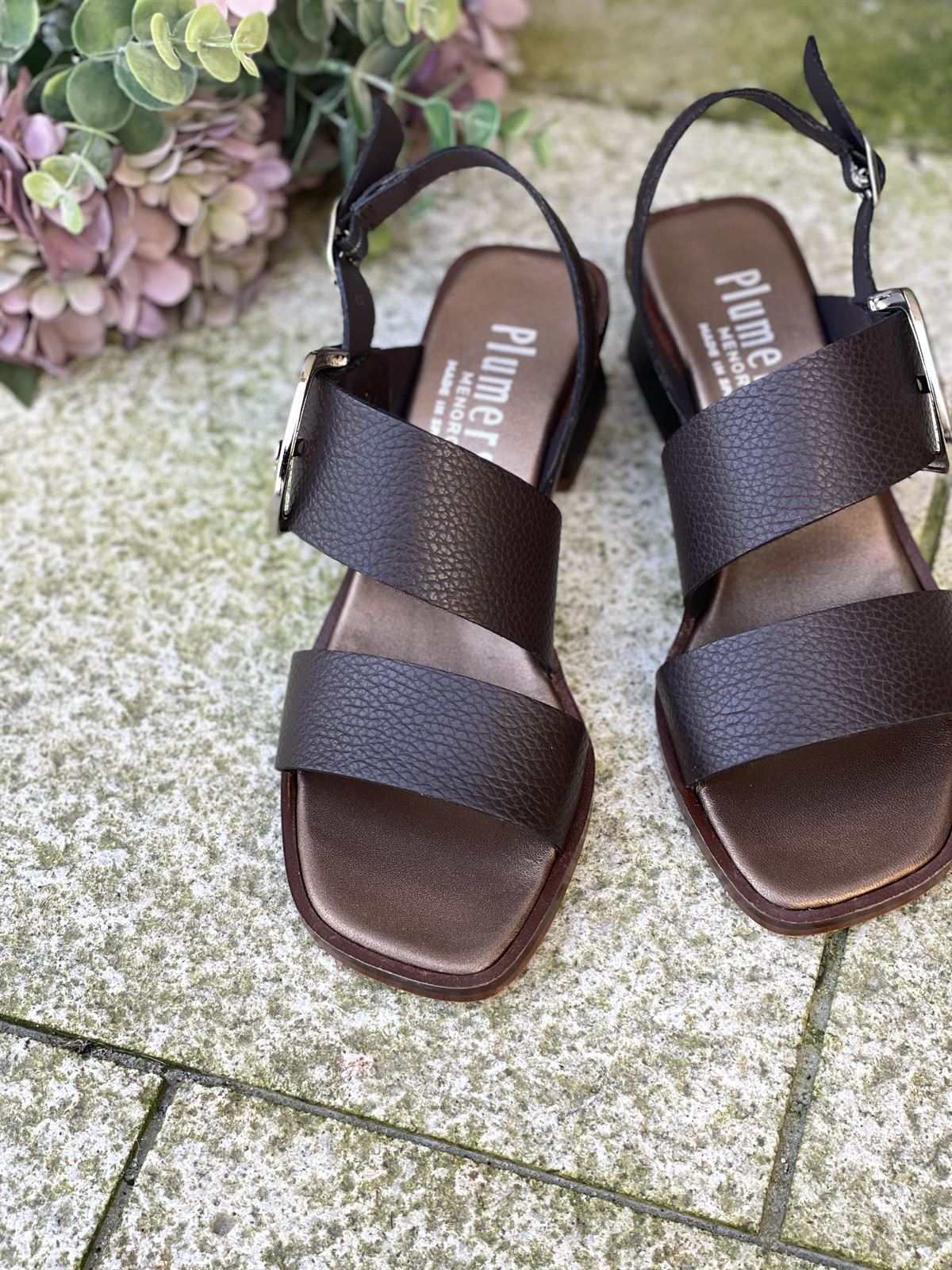 Sandalia Plumers Menorca 3103 2 tiras chocolate - Imagen 2