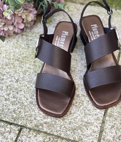 Sandalia Plumers Menorca 3103 2 tiras chocolate - Imagen 2