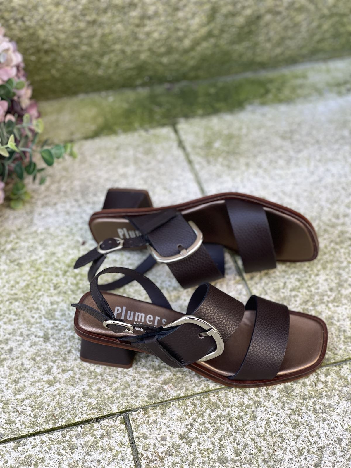 Sandalia Plumers Menorca 3103 2 tiras chocolate - Imagen 3