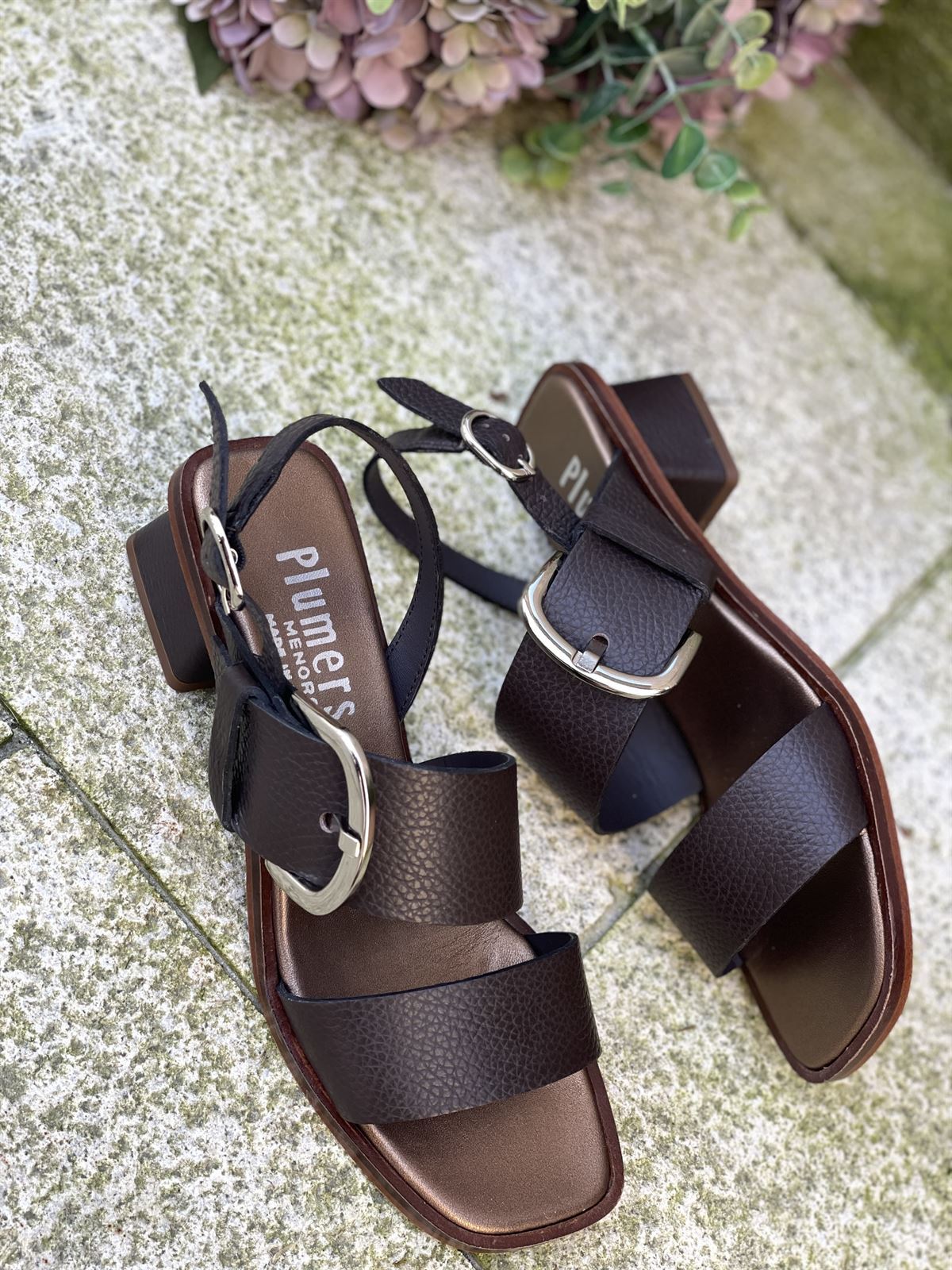 Sandalia Plumers Menorca 3103 2 tiras chocolate - Imagen 5