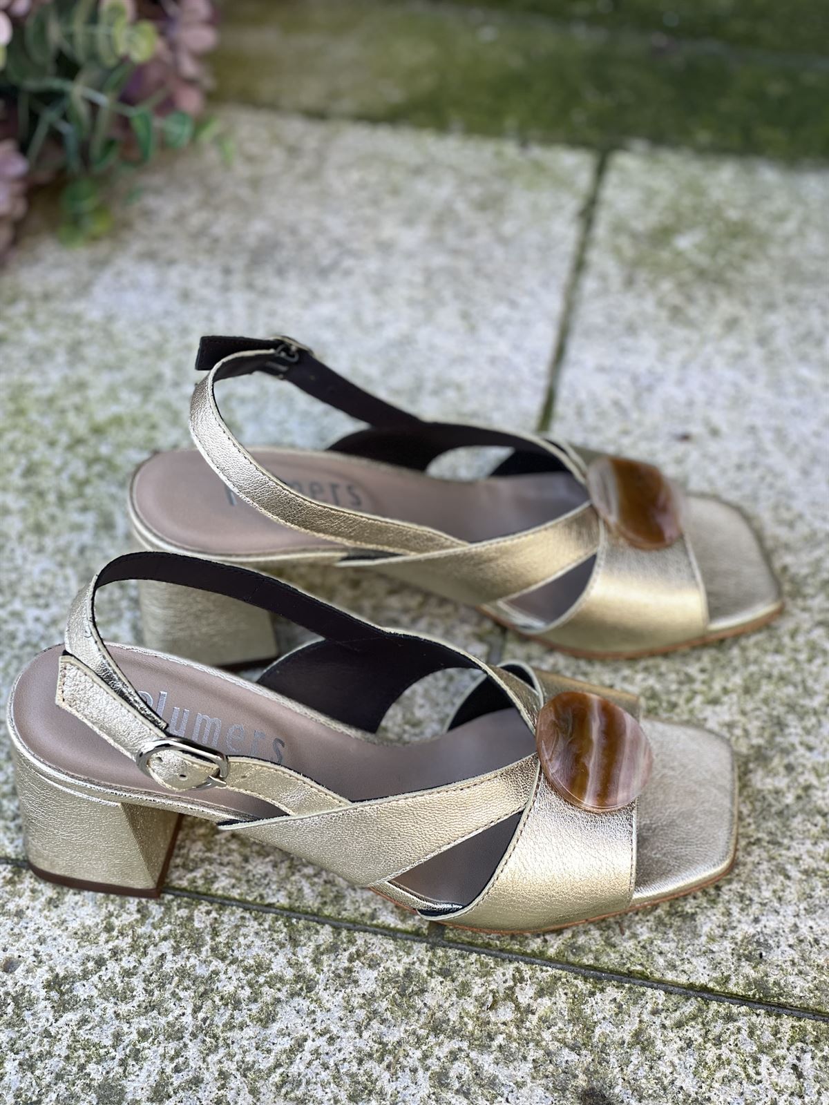 Sandalia Plumers Menorca 3119 pieza sacar dorado champagne - Imagen 2