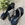 Sandalia Plumers Menorca 3774 plana monedas negra - Imagen 1