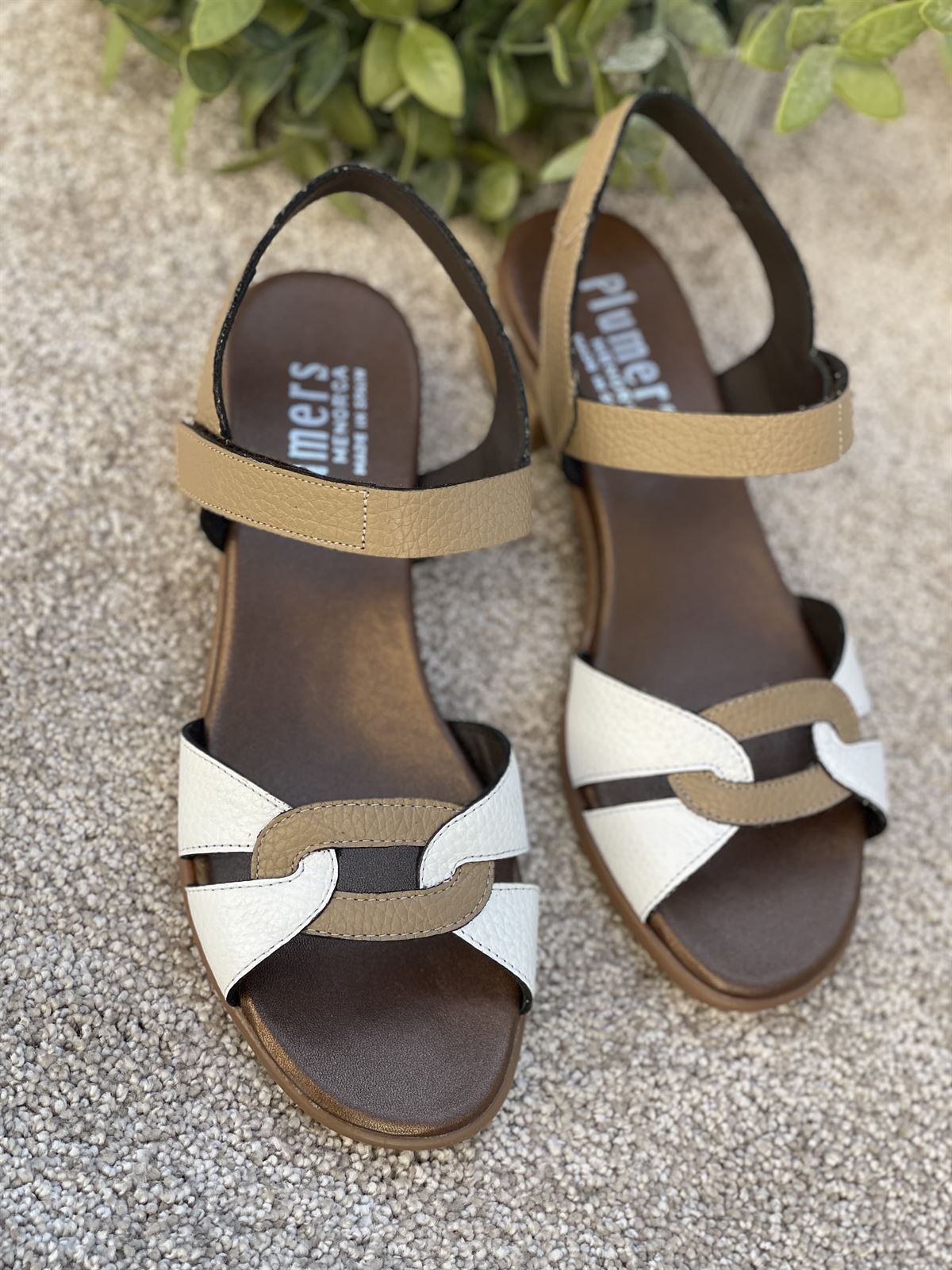 Sandalia Plumers Menorca 3783 Plana blanco taupe - Imagen 3