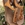 Sandalia Plumers Menorca 3891 esclava ante camel - Imagen 1