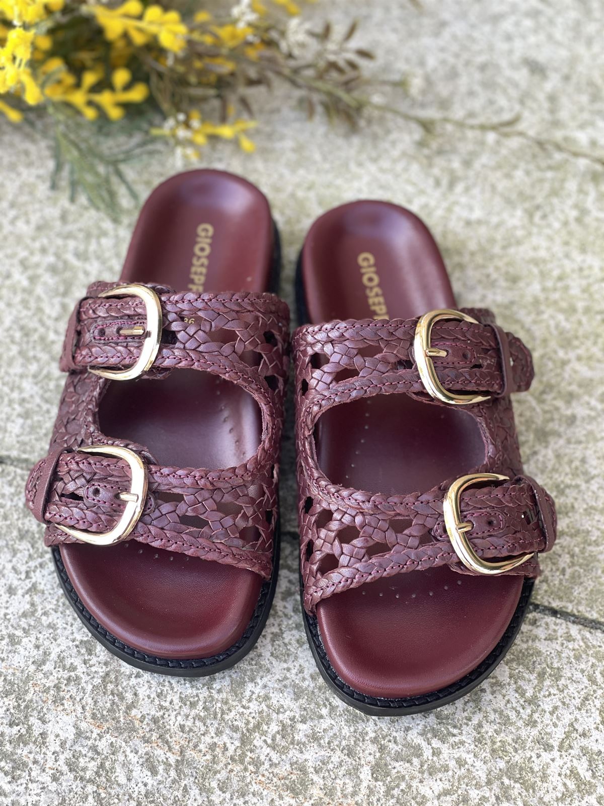 Sandalias Gioseppo BIO piel trenzada OGUNQUIT burgundy - Imagen 2