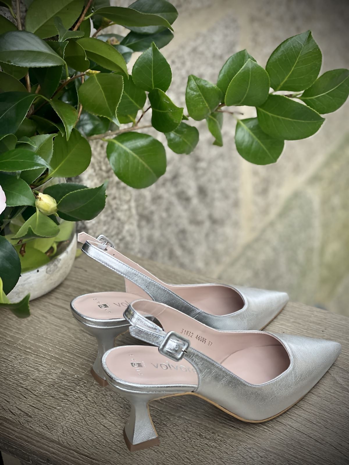 Stiletto Angari destalonado 46085-98  plata 7,5 cm - Imagen 3