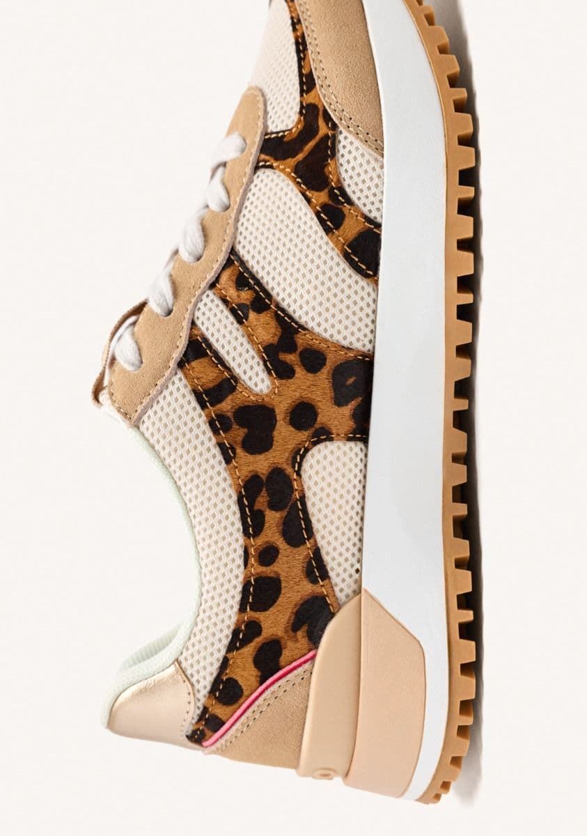 ZAPATILLAS GIOSEPPO PIEL LEOPARDO MADBURY - Imagen 5