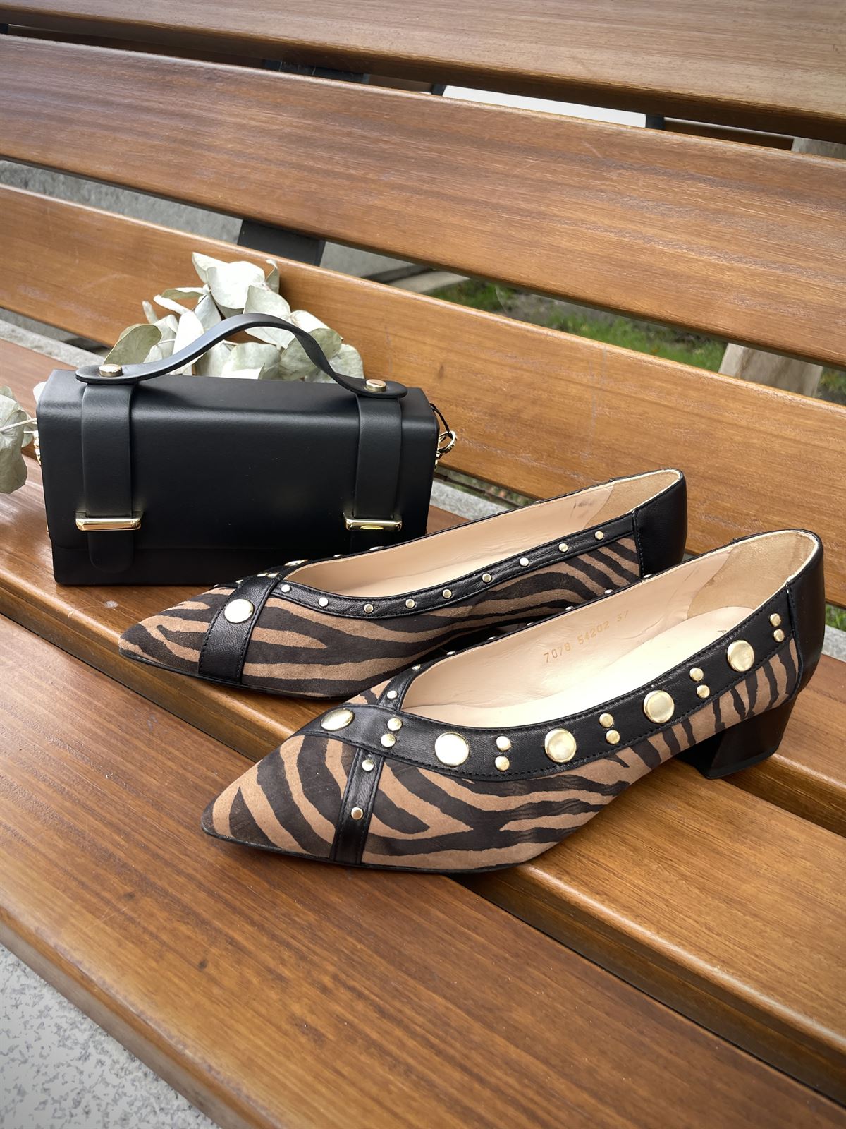 Zapato Angari 54202-40 DIANA Ante cebra - Imagen 3