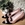 Zapato Angari empolvado print rosa - Imagen 1
