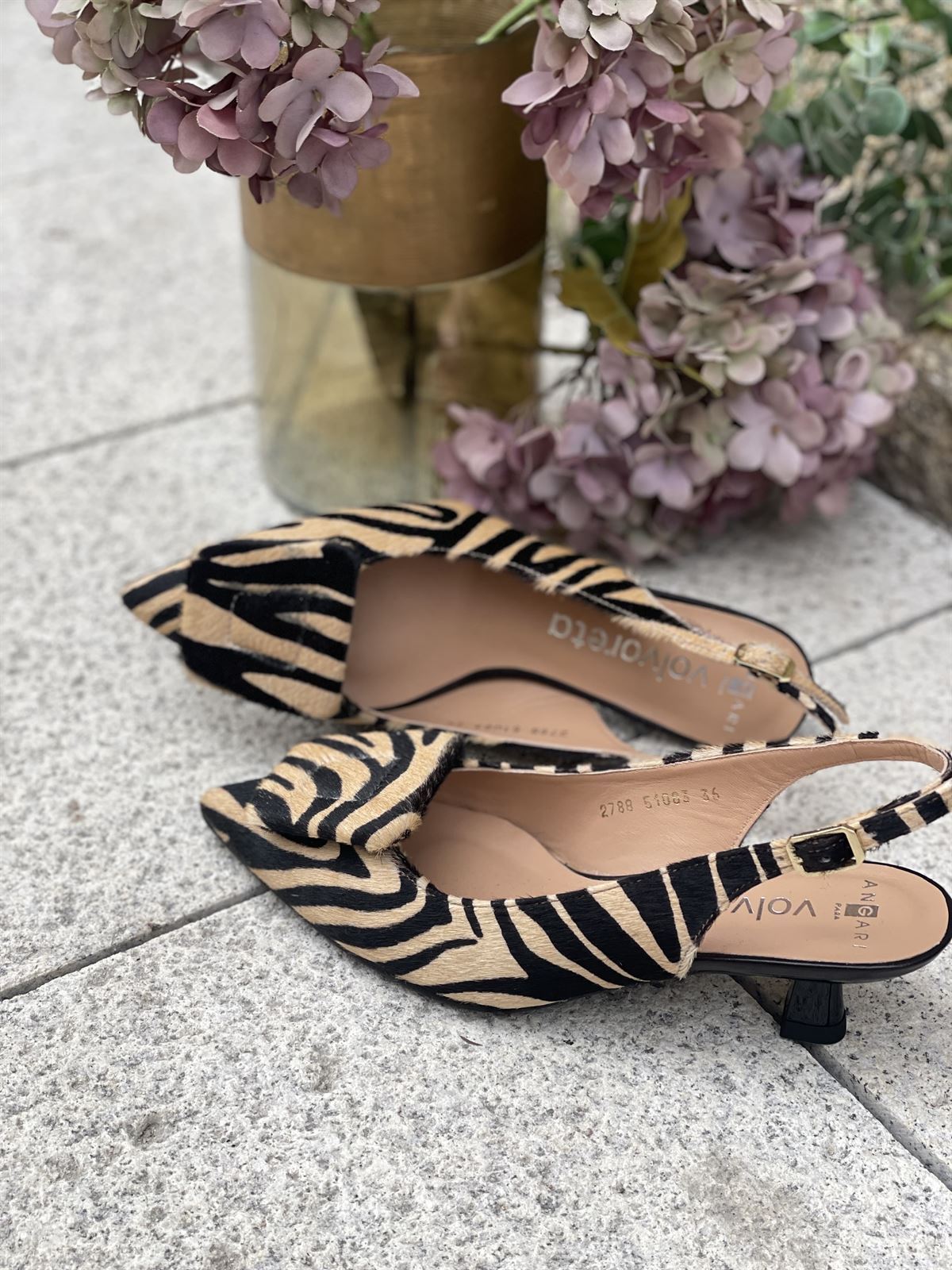 Zapato Angari INDIRA -63 Pint Cebra - Imagen 2