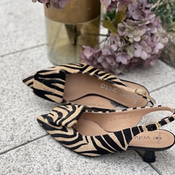 Zapato Angari INDIRA -63 Pint Cebra - Imagen 2