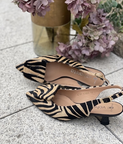 Zapato Angari INDIRA -63 Pint Cebra - Imagen 2