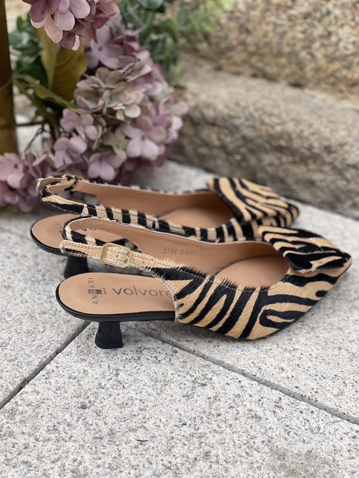 Zapato Angari INDIRA -63 Pint Cebra - Imagen 3