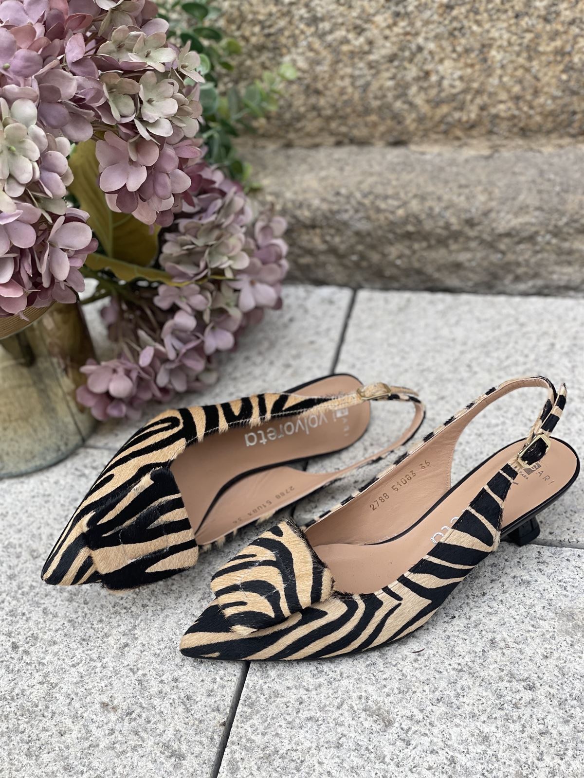 Zapato Angari INDIRA -63 Pint Cebra - Imagen 4