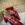 Zapato Angari  Juliet Berry -59 charol rojo - Imagen 1
